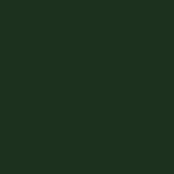 Гипсокартон (с различными видами отделки и покрытия) RAL 6007 Бутылочно-зелёный