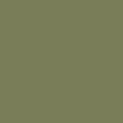 Гипсокартон (с различными видами отделки и покрытия) RAL 6013 Тростниково-зелёный